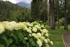 0A30F8D9-B6C5-4B85-BA21-5482501AA71E