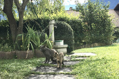 2655F8BF-7969-469D-9231-7537F0E76BD2