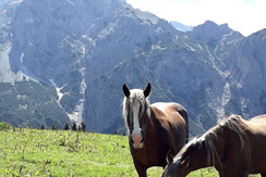 6E523C60-24C2-455B-86A3-C9C499054C62