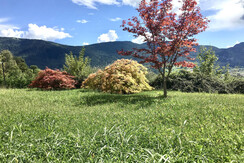 3B3045D1-0ADA-4869-81BF-554424971407