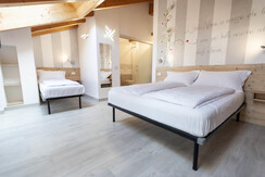 stella alpina1 stella alpina1