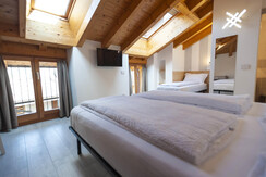 stella alpina2 stella alpina2