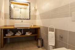 stella alpina6 stella alpina6