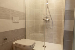 stella alpina5 stella alpina5