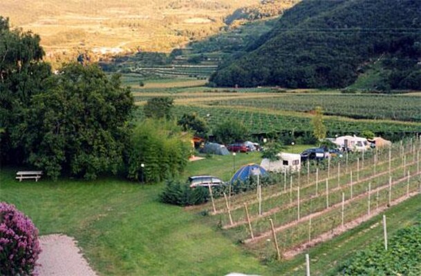 Agricampeggio L'albero delle mele 1