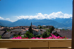 vista dall'app.Primula 2