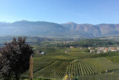 IMG_20171013_140648 (2)