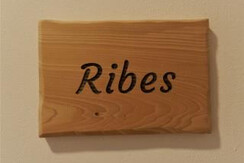 Camera-Ribes-insegna-1