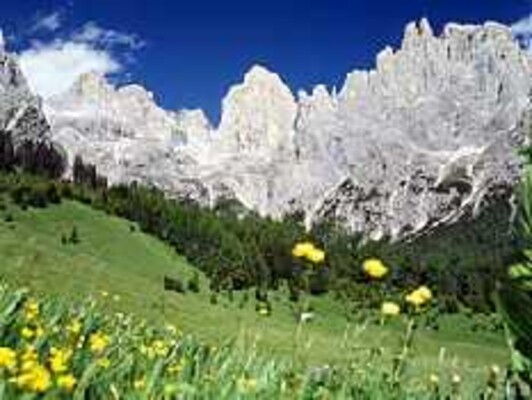 Panorama Val Canali - Dolomiti
