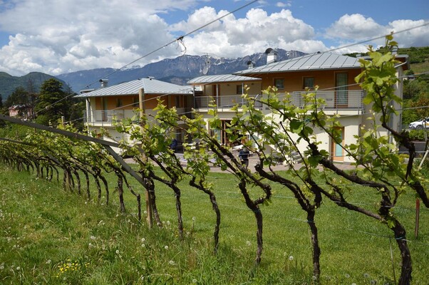 Agritur Ponte Alto - Trento (3)