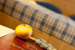 _DSC1631bis _DSC1631bis