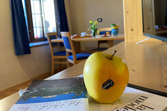 WhatsApp Image 2021-06-24 at 12.22.12