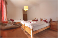 img_0388_bispicc img_0388_bispicc