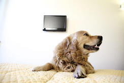 20110921_HOTEL_ALASKA_MG_9477 20110921_HOTEL_ALASKA_MG_9477