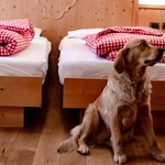  foto van Tweepersoonskamer 'Pet friendly'
