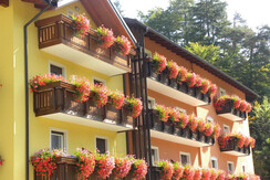 Immagine foto claudio 758