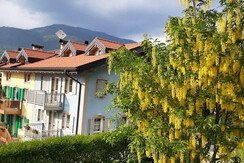 20200613_182639 (FILEminimizer)