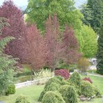  foto van Tweepersoonskamer | © B&B Alla Loggia dell'Imperatore
