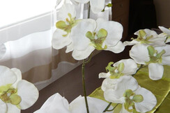 Particolare in Suite