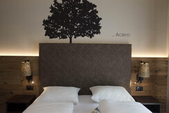 DSC_5596 - Copia - Copia