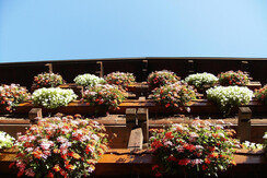 I balconi delle stanze Deluxe Alpi I balconi delle stanze Deluxe Alpi