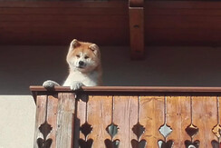 12F43334-D589-4A5A-8BB4-E726334D12A7 12F43334-D589-4A5A-8BB4-E726334D12A7