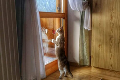 7A9FCBE2-C75C-43B1-8883-BCF70A1271FF 7A9FCBE2-C75C-43B1-8883-BCF70A1271FF