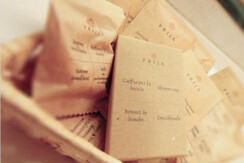 alpinocamere alpinocamere