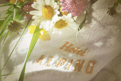 camere-superior-2 camere-superior-2