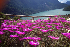 10421134_687391824661365_1395278683636633667_n 10421134_687391824661365_1395278683636633667_n