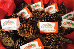 12316120_931168976920442_6221844440856614296_n 12316120_931168976920442_6221844440856614296_n