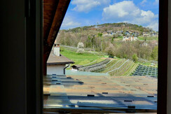 0E20B503-7FB0-4CA2-A49B-C952D4DE39CA_1_105_c