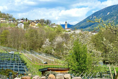 0217FA0C-D7FB-4F3B-A5C2-3D40C7EB9B09_1_201_a