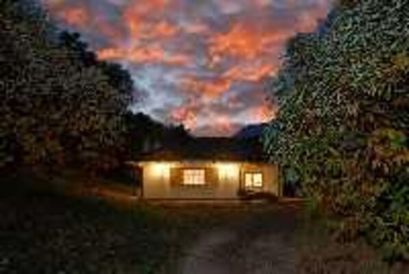 AZIENDA AGRICOLA I MARONERI Homepage Image #