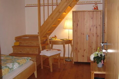 Calendula Ringelblume Zimmer camera