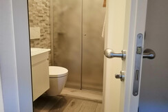 IMG_20190320_113647 IMG_20190320_113647