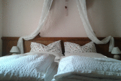 camera rosa camera rosa