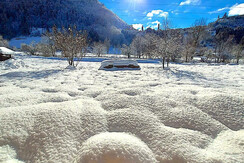 Il giardino d'inverno Il giardino d'inverno