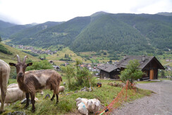 Mas del Bortol, Valorz, Rabbi (4)