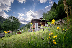 esterno-giardino--mas dei toti-chalet-baita-valdir