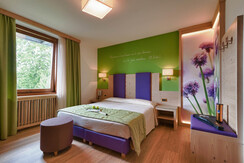 Camera Blumen Camera Blumen