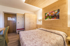 Camera Blumen Camera Blumen