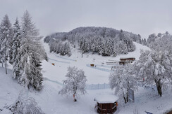 20190203_111358-01 (1) 20190203_111358-01 (1)