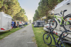 Lidoarco-33 Lidoarco-33