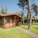  Фото Timber-built bungalow 