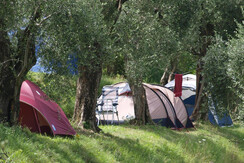 PIAZZOLA_B PIAZZOLA_B