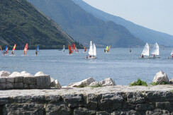 spiaggia surf (4) spiaggia surf (4)