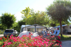 piazzola-con-rose PB