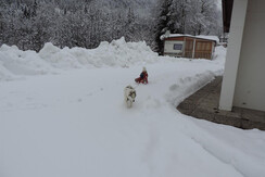 PIAZZOLA STANDARD 4 PIAZZOLA STANDARD 4