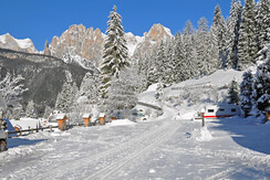 maxipitches with direct gas connection maxipitches with direct gas connection